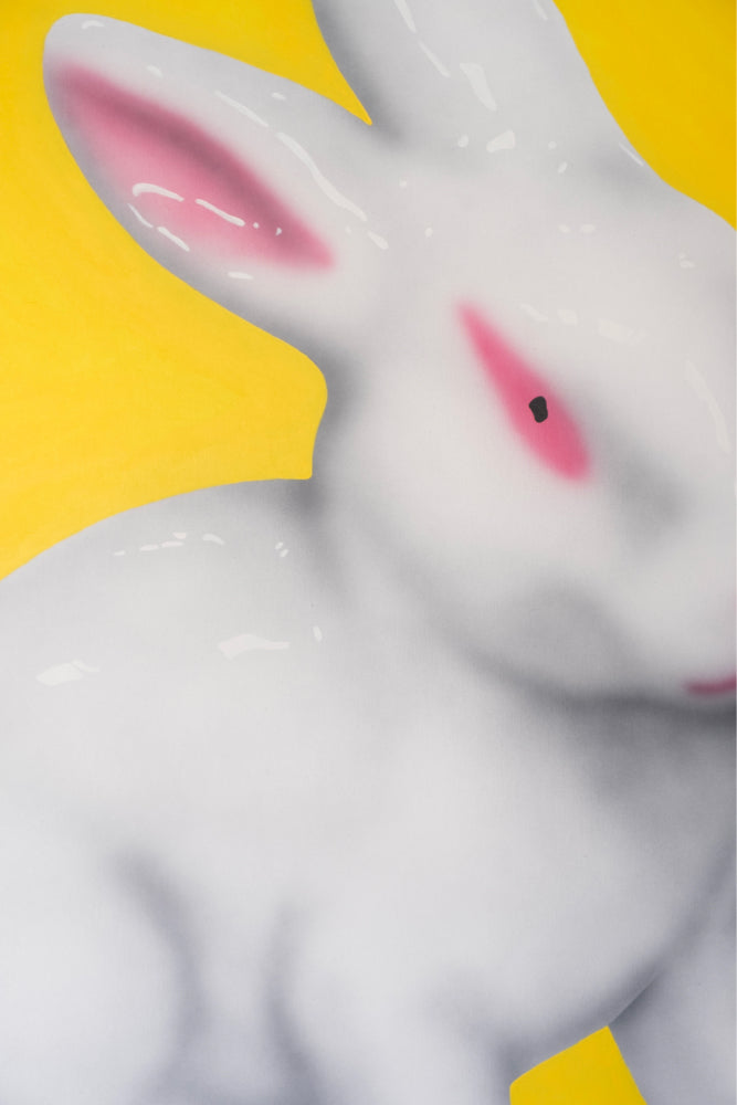 White Rabbit