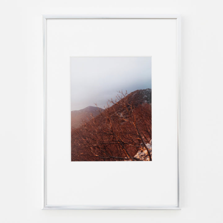 Velebit C-print #2