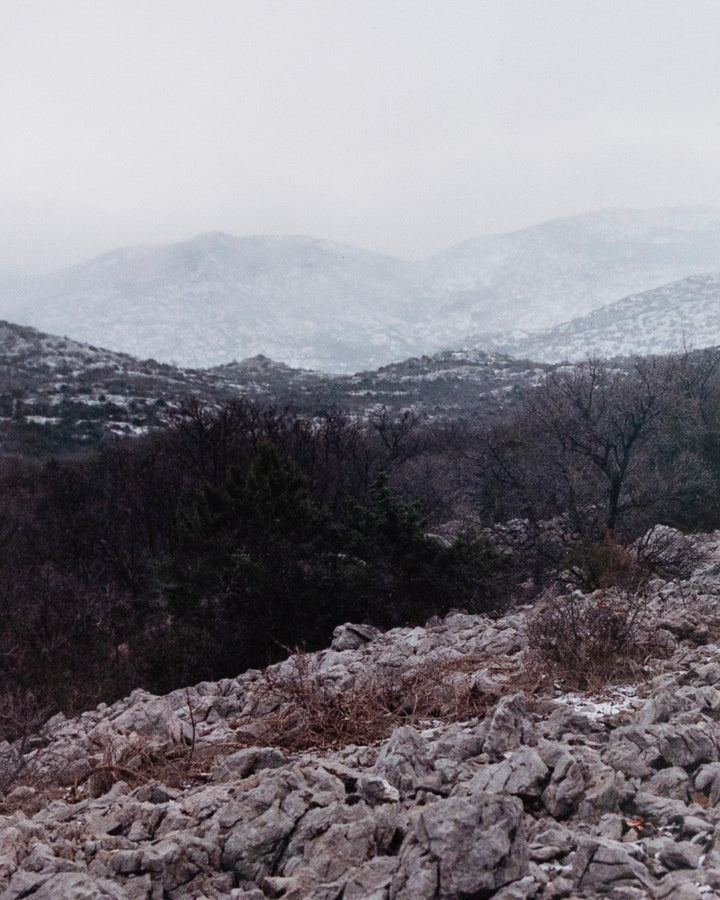 Velebit C-print #3 detail