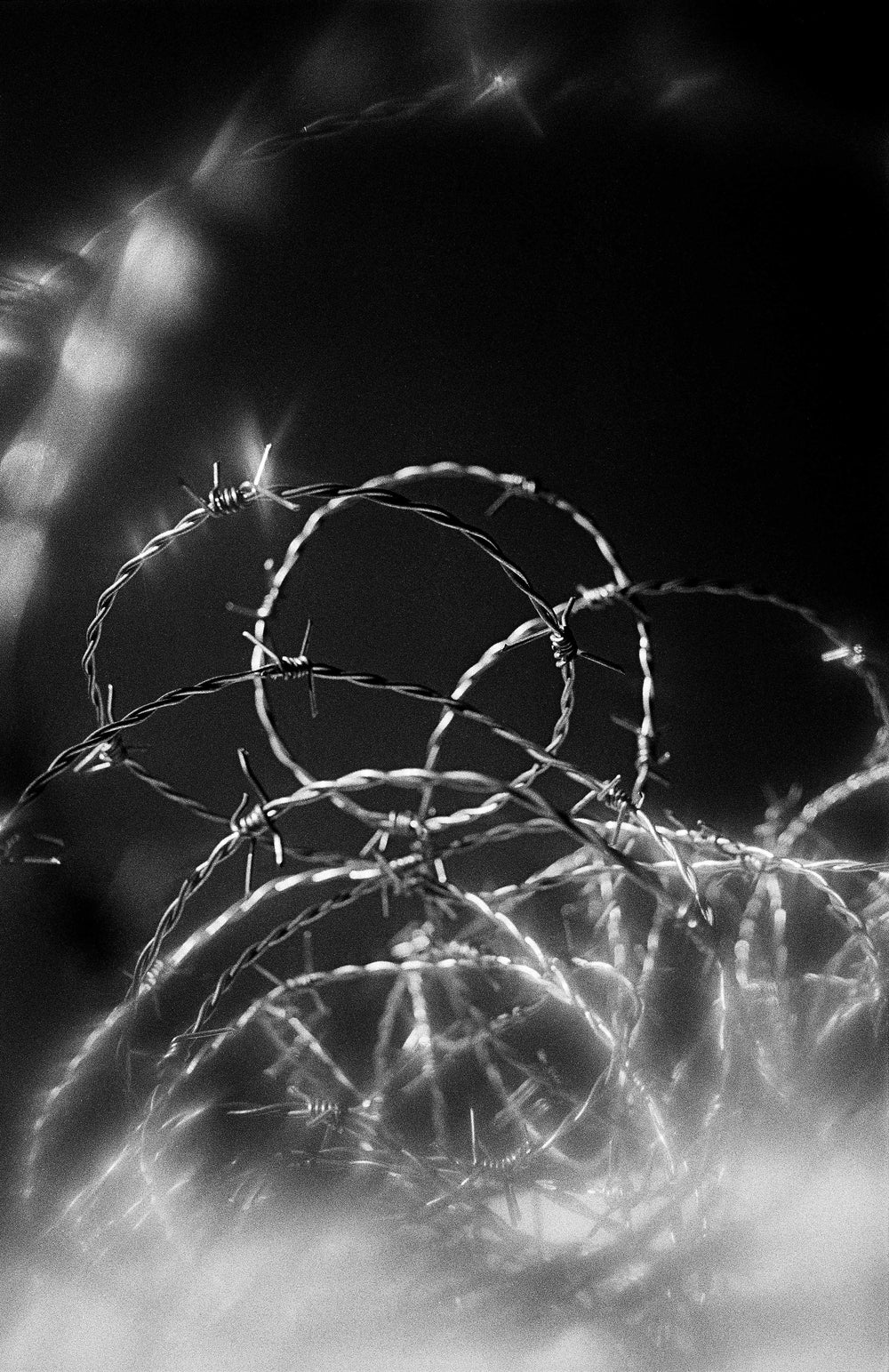 Artistic photography of barbed wire